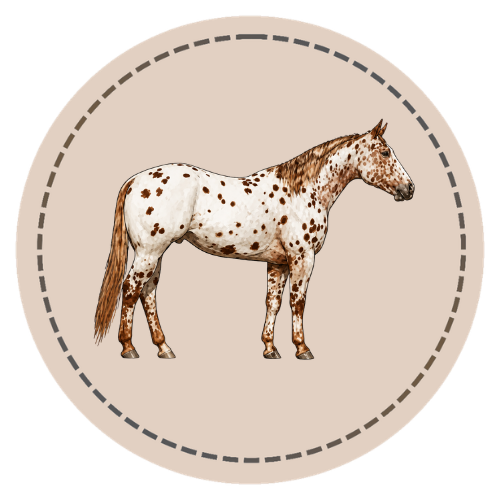 Appaloosa Patterns