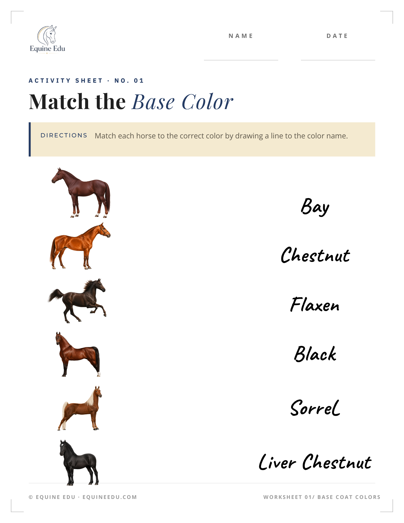Match the Base Color worksheet preview