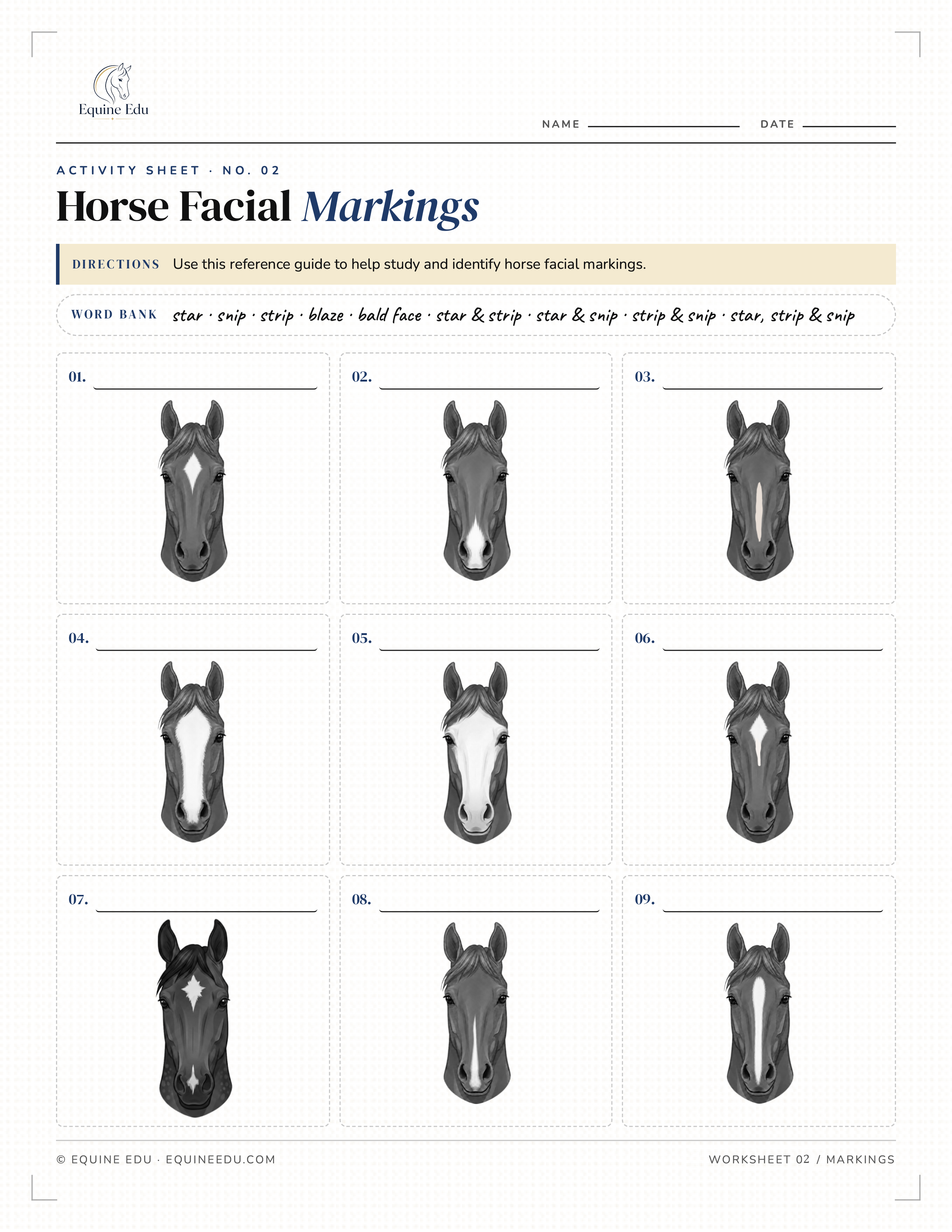 Draw the Face Markings practice sheet preview