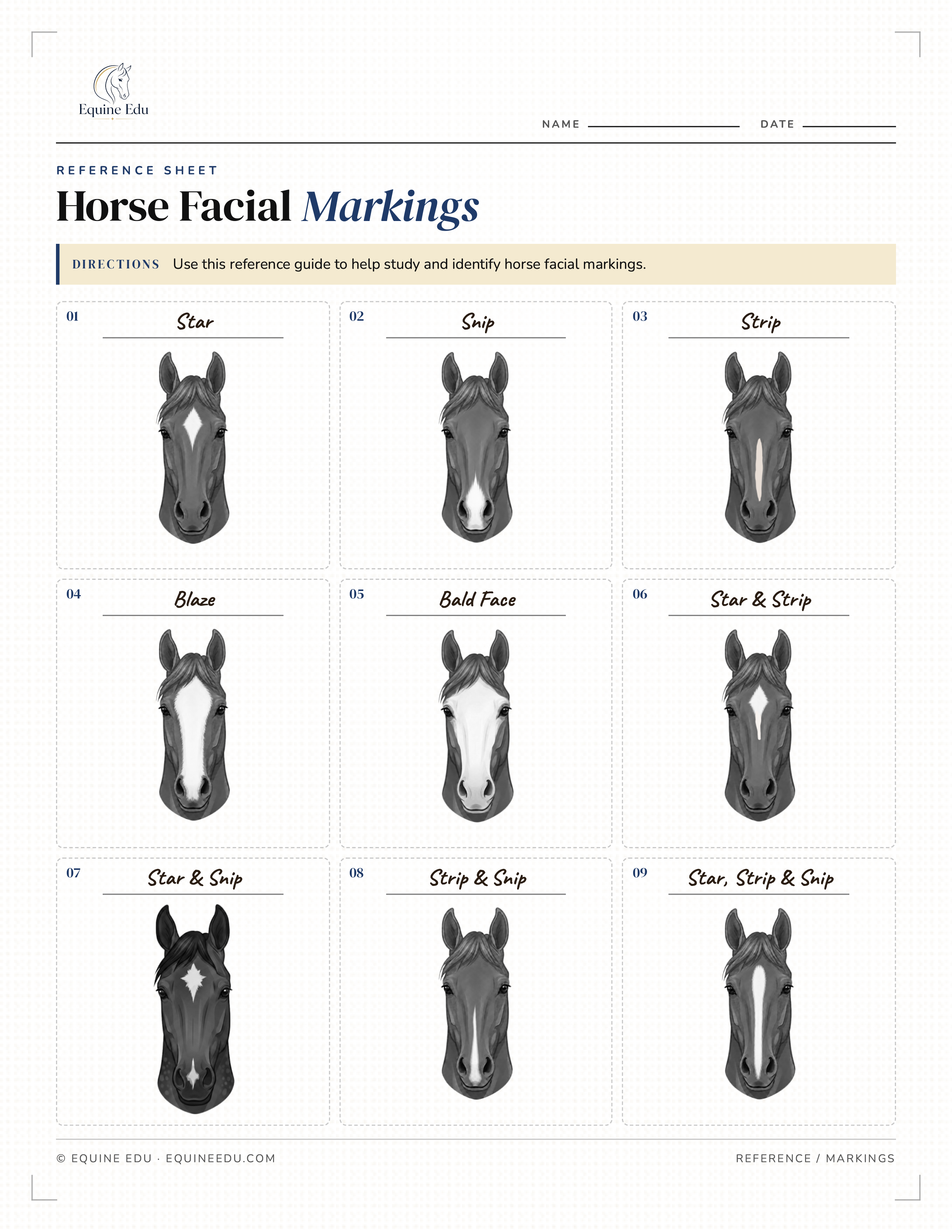 Face Markings Reference Sheet preview
