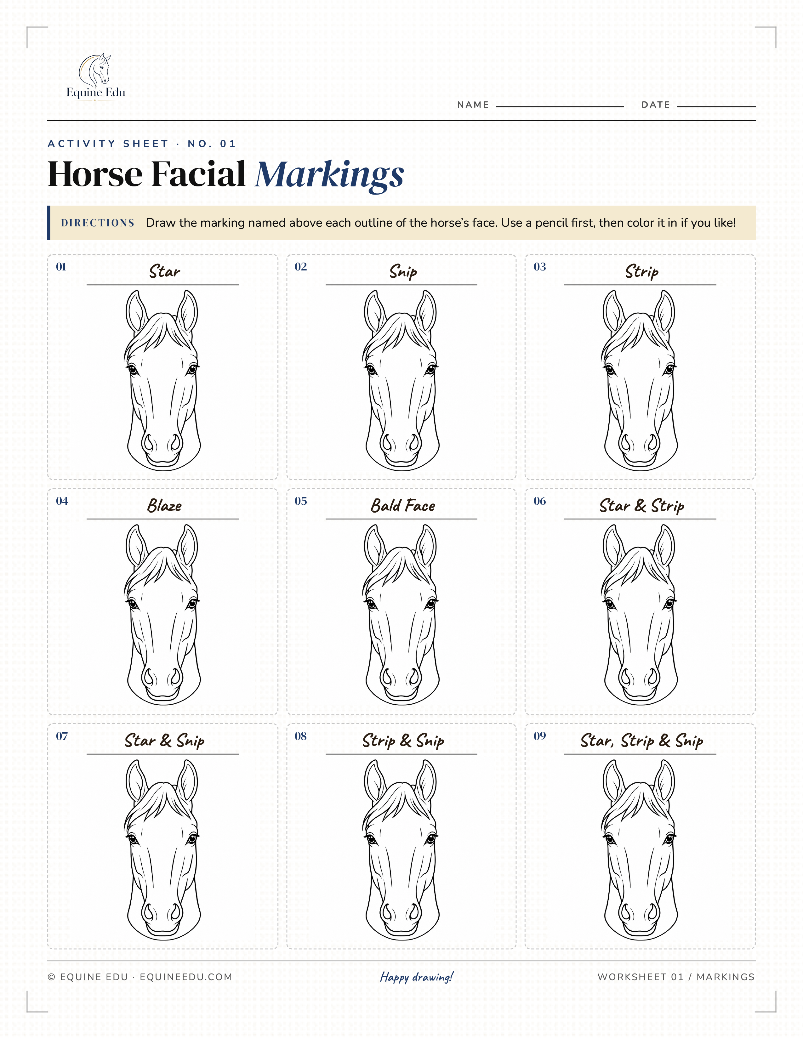 Label the Face Markings worksheet preview