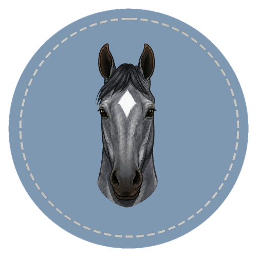 Horse with star, strip, and snip face marking
