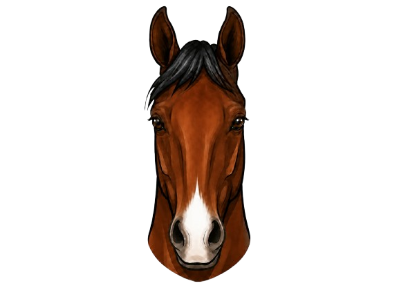 Horse with a snip face marking
