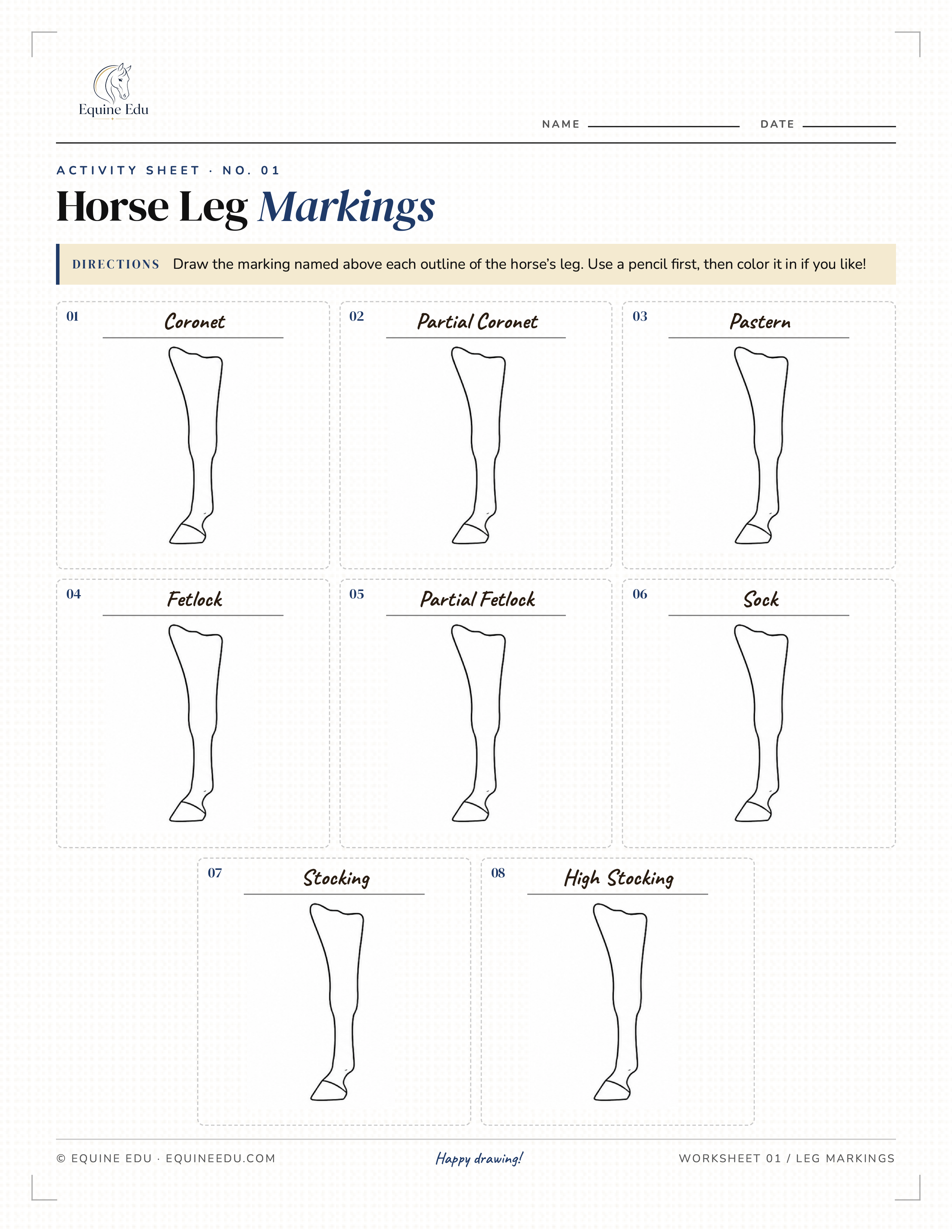 Label the Leg Markings worksheet preview