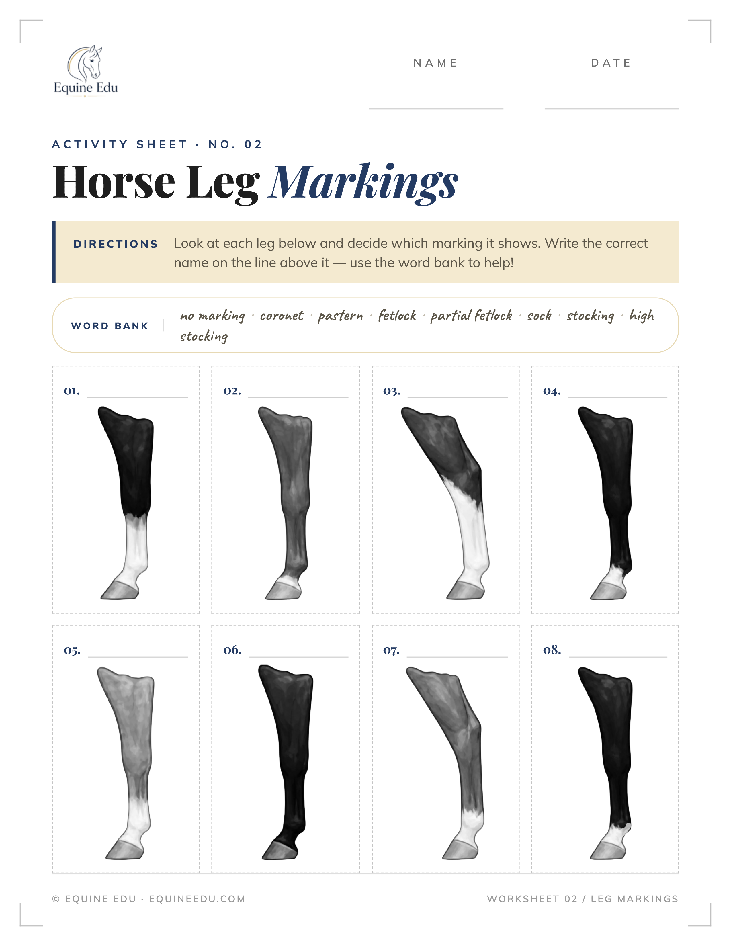 Draw the Leg Markings practice sheet preview