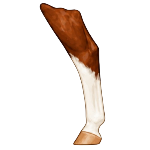 High stocking marking