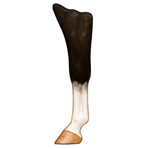 Stocking leg marking example