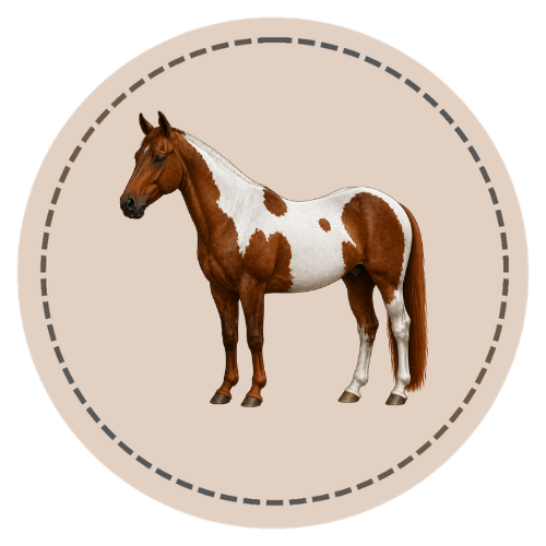 Pinto Patterns