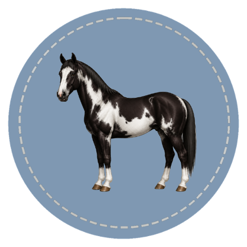 Pinto Patterns course artwork