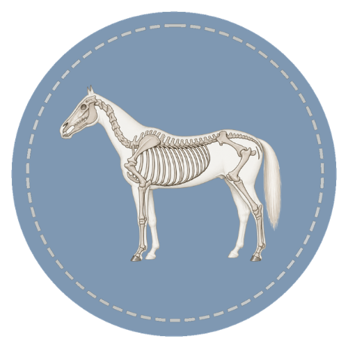 Course artwork