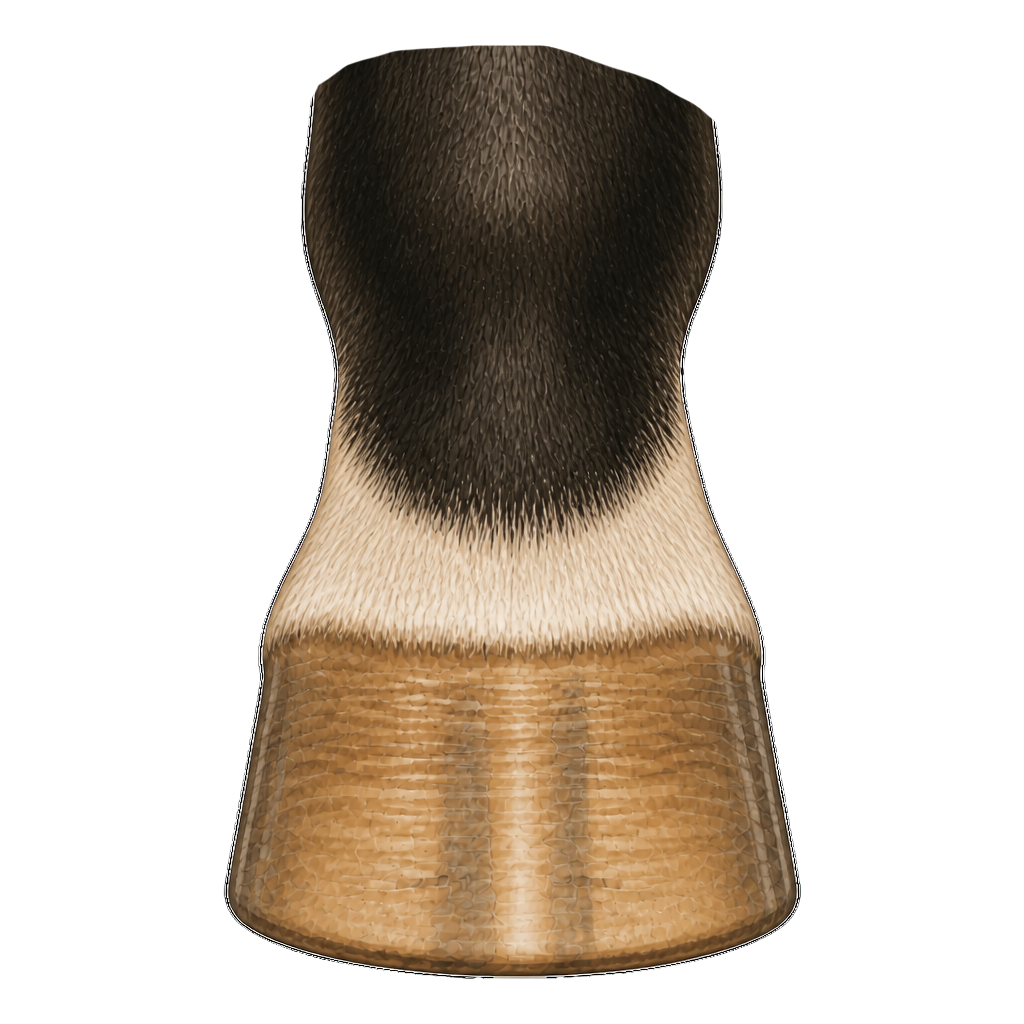 Front view of a horse hoof showing the hoof wall and toe