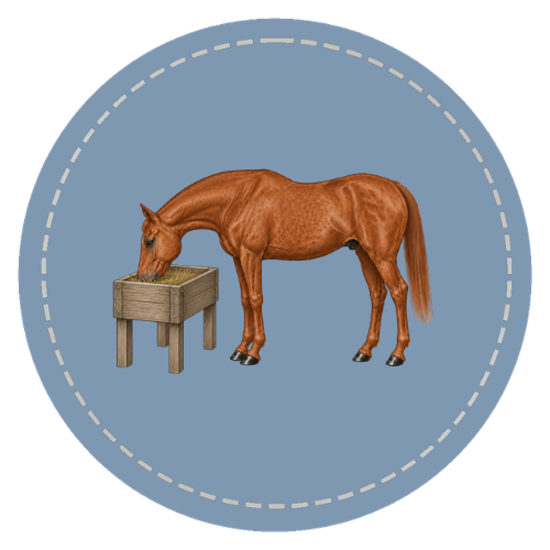 Course artwork