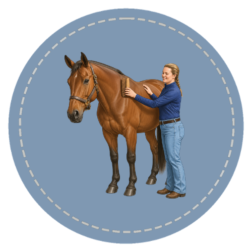 Grooming Horses course artwork
