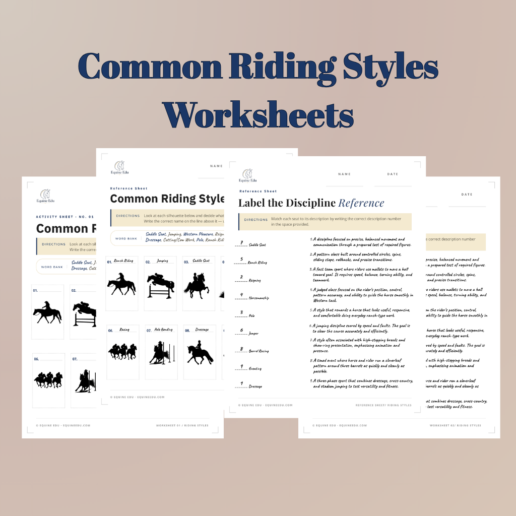 Riding Foundations downloads preview