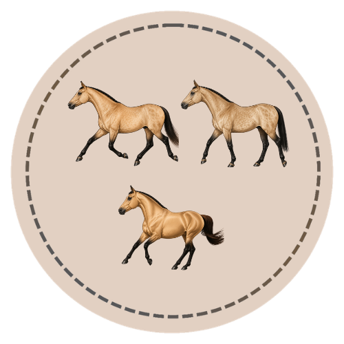 Understanding Horse Movement