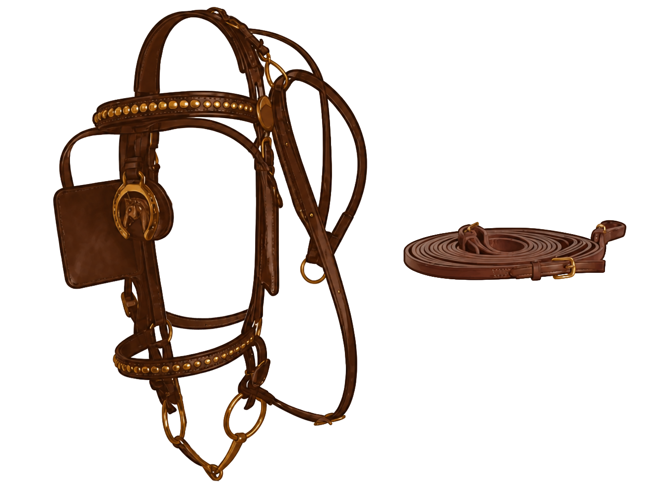 Driving bridle example