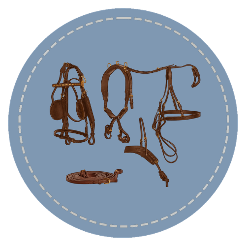 Driving harness and equipment course preview