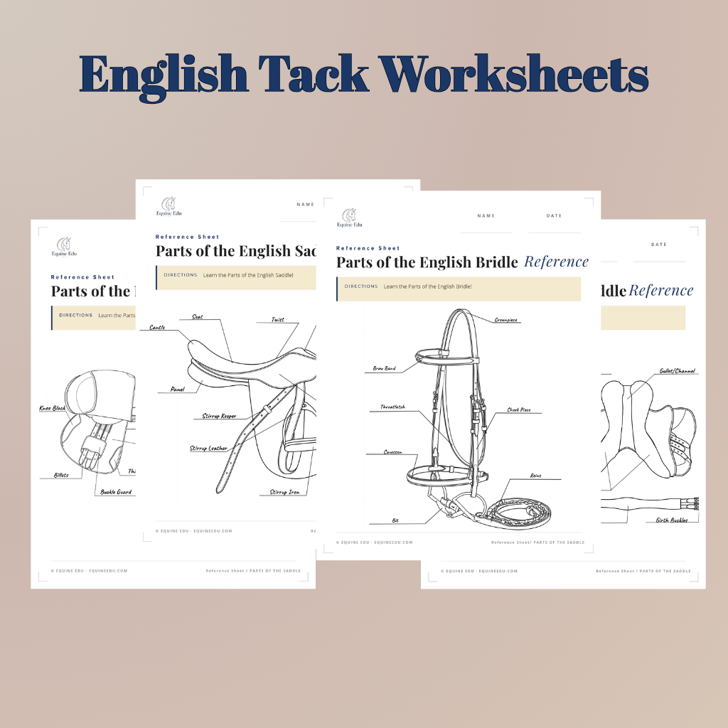 Tack & Equipment downloads preview