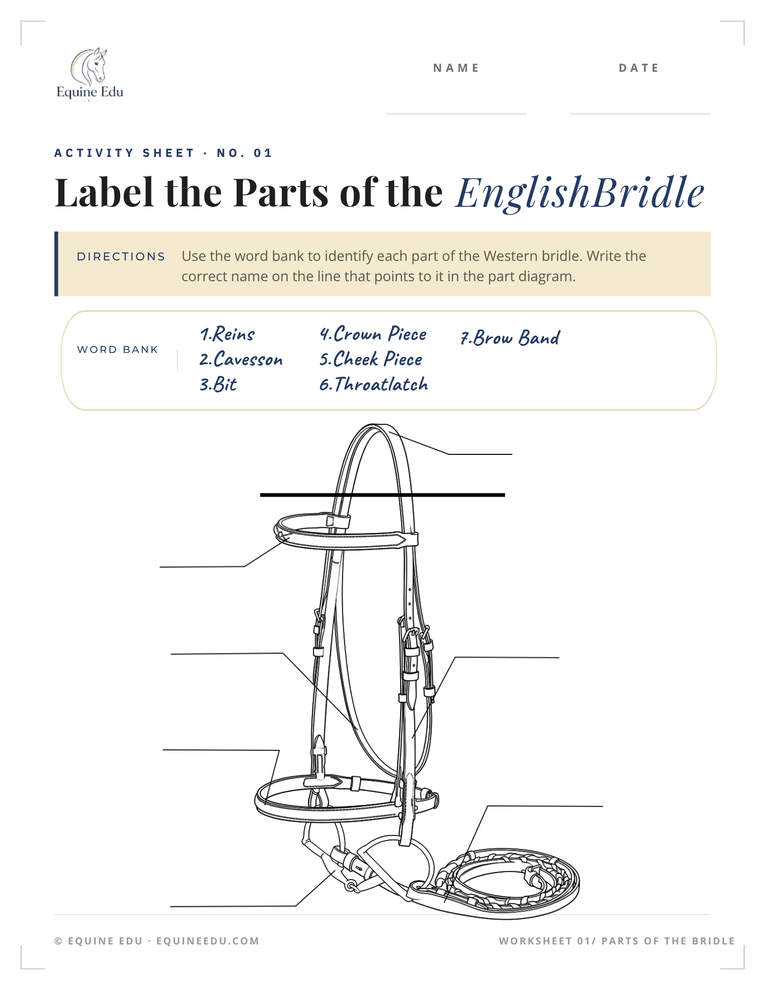 Label the English Saddle preview