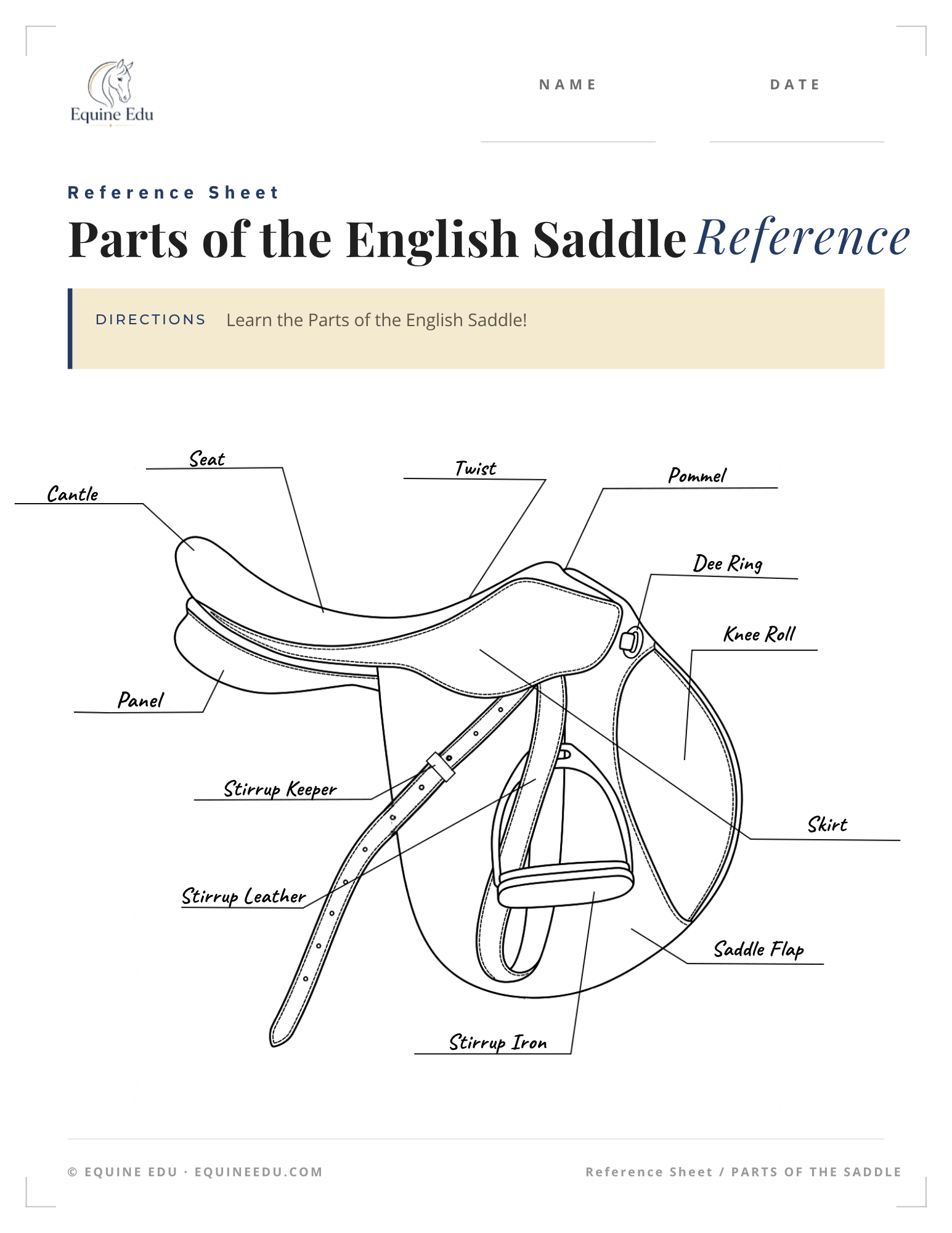 English Saddle Underside Reference preview