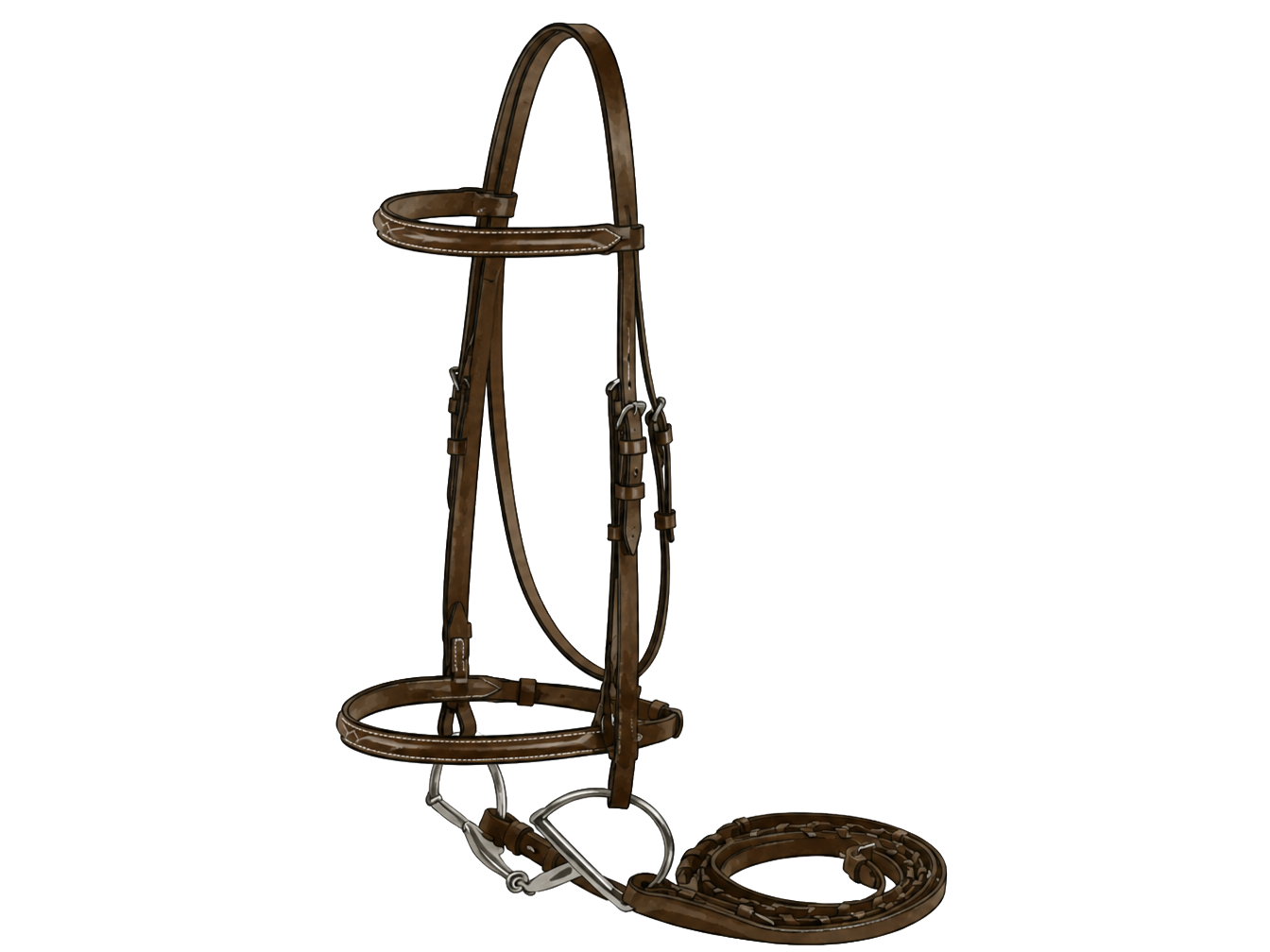 English bridle diagram