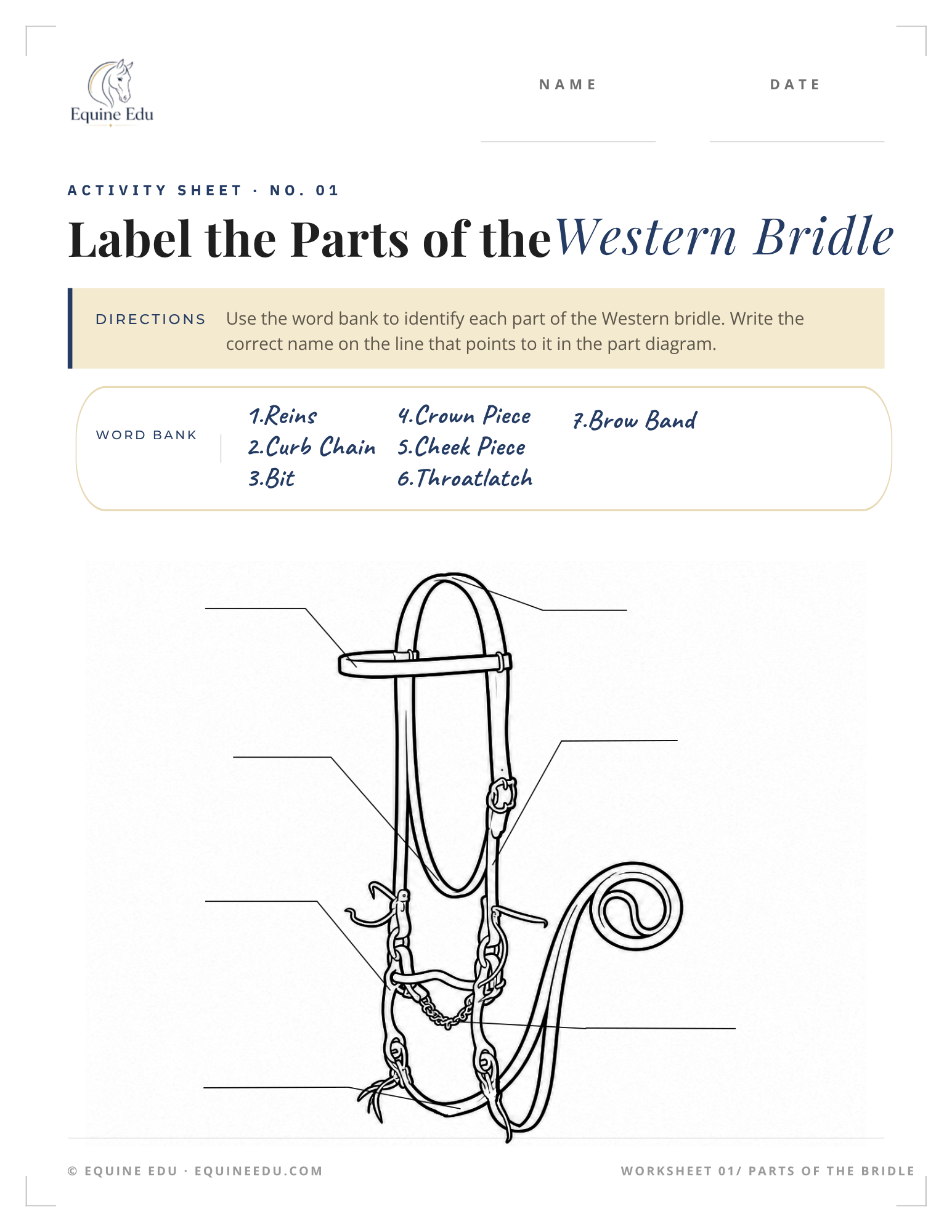Label the western saddle worksheet preview