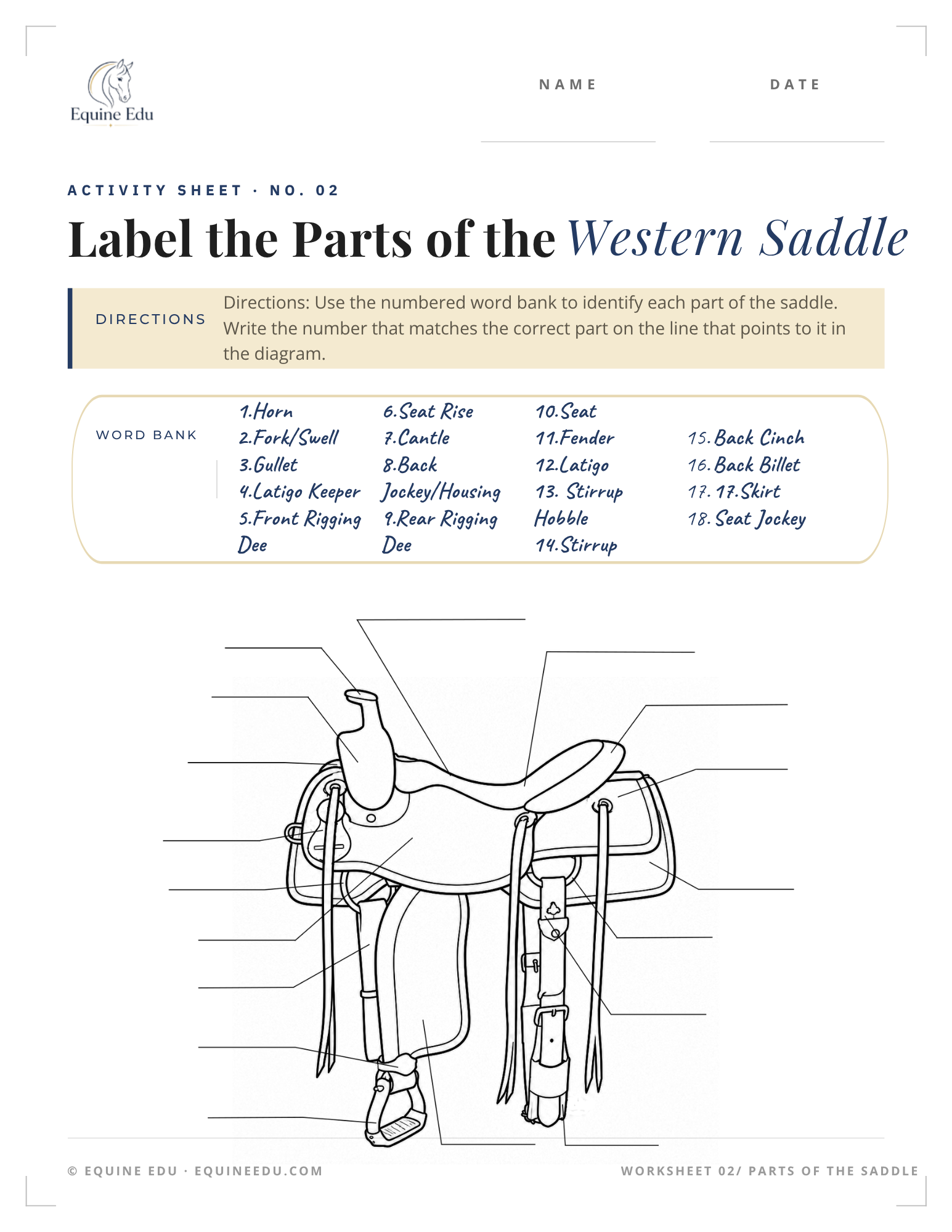 Label the western bridle worksheet preview